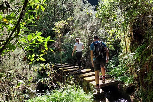 Feitas Footpath at Chão da Ribeira