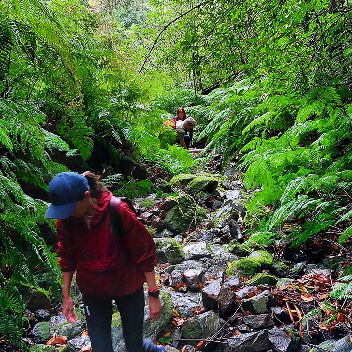 Hiking Madeira Poço das Pulgas