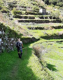 Madeira hikes and trails 07