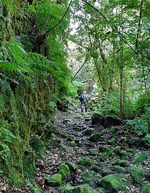 Madeira hikes and trails 08