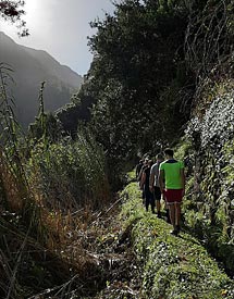 Madeira hikes and trails 15