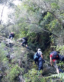 Madeira hikes and trails 17