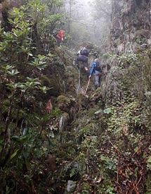 Madeira hikes and trails 18